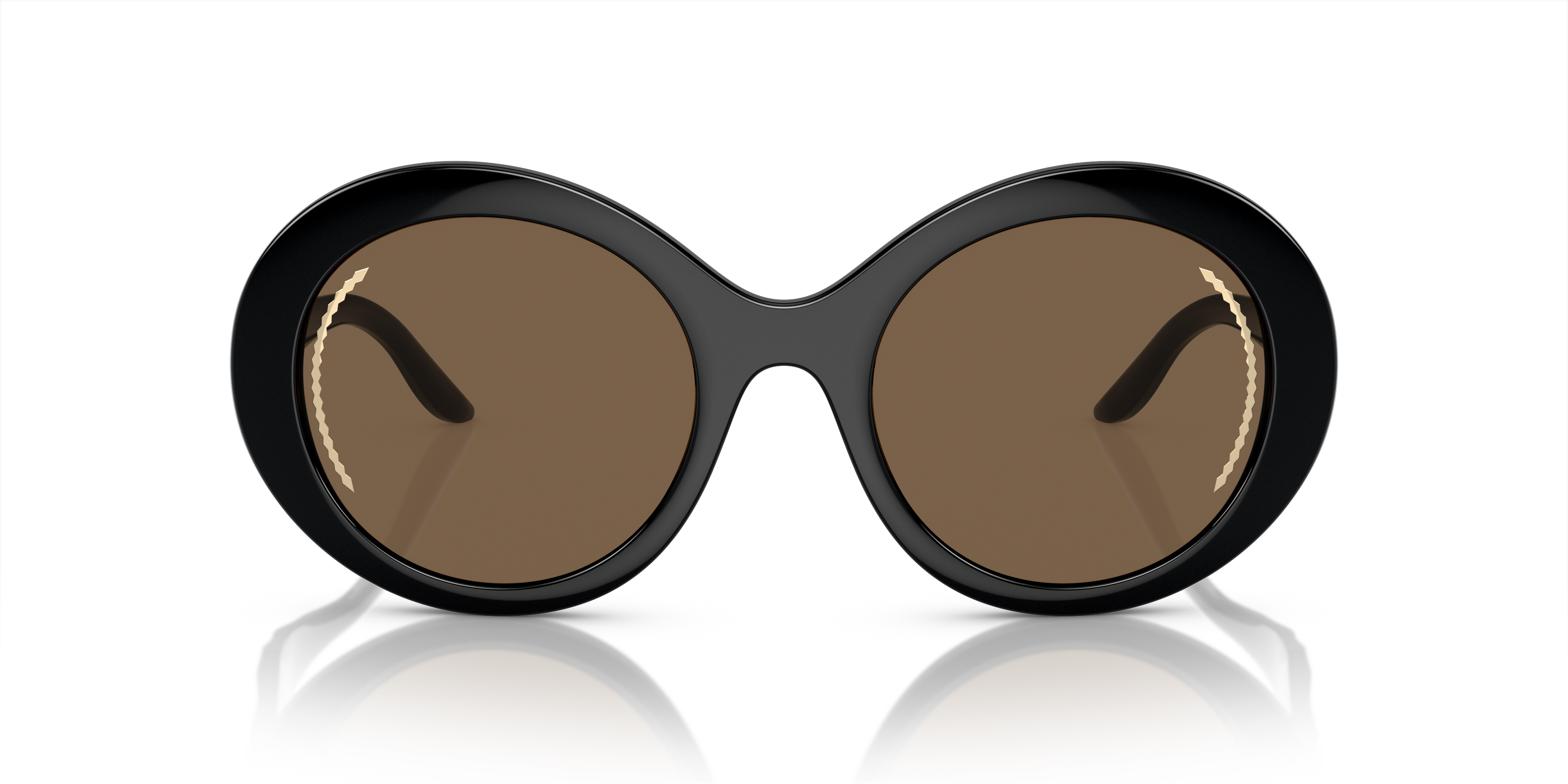 Giorgio Armani Sunglasses AR8204 500173