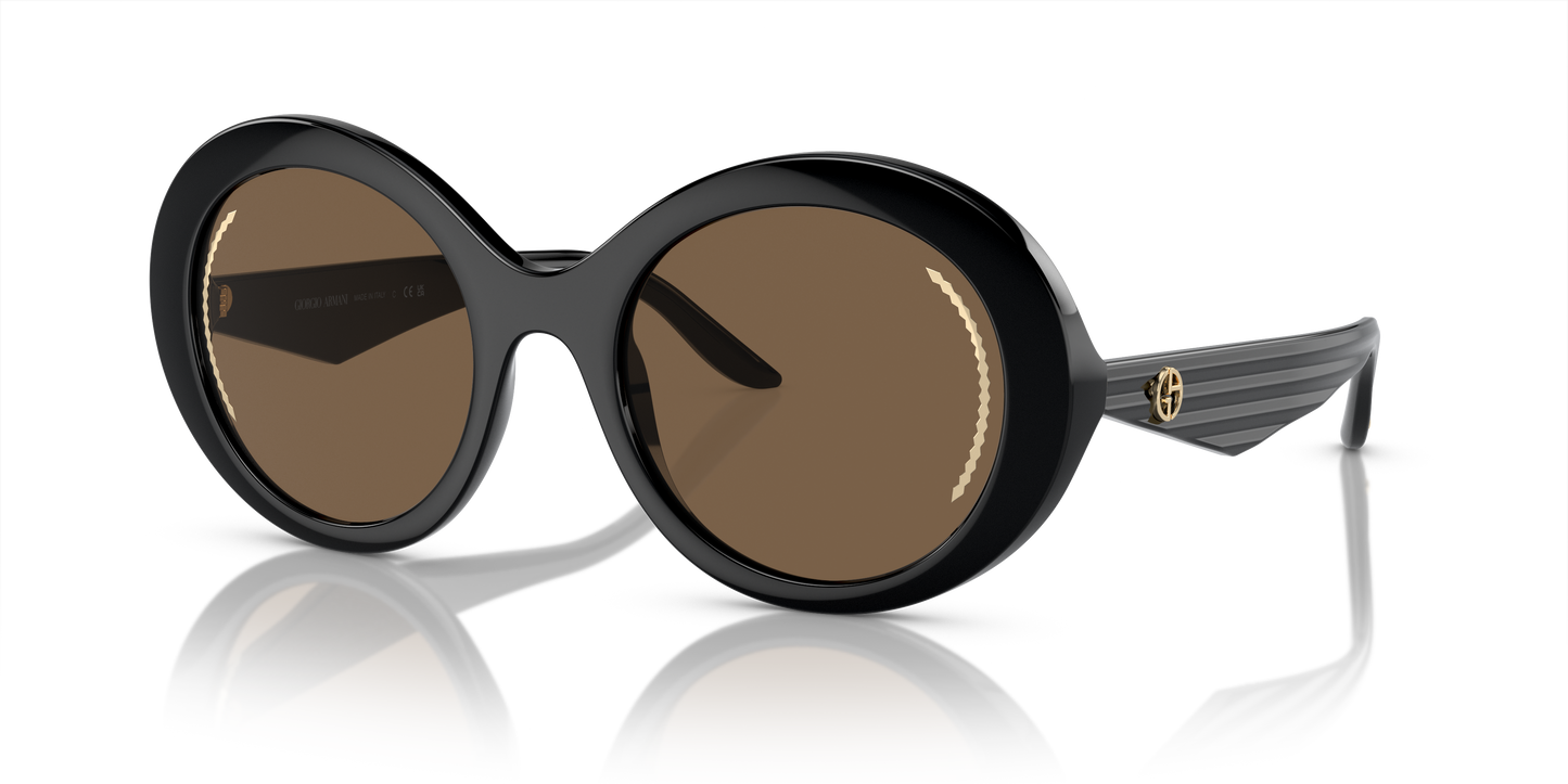 Giorgio Armani Sunglasses AR8204 500173