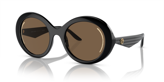 Giorgio Armani Sunglasses AR8204 500173