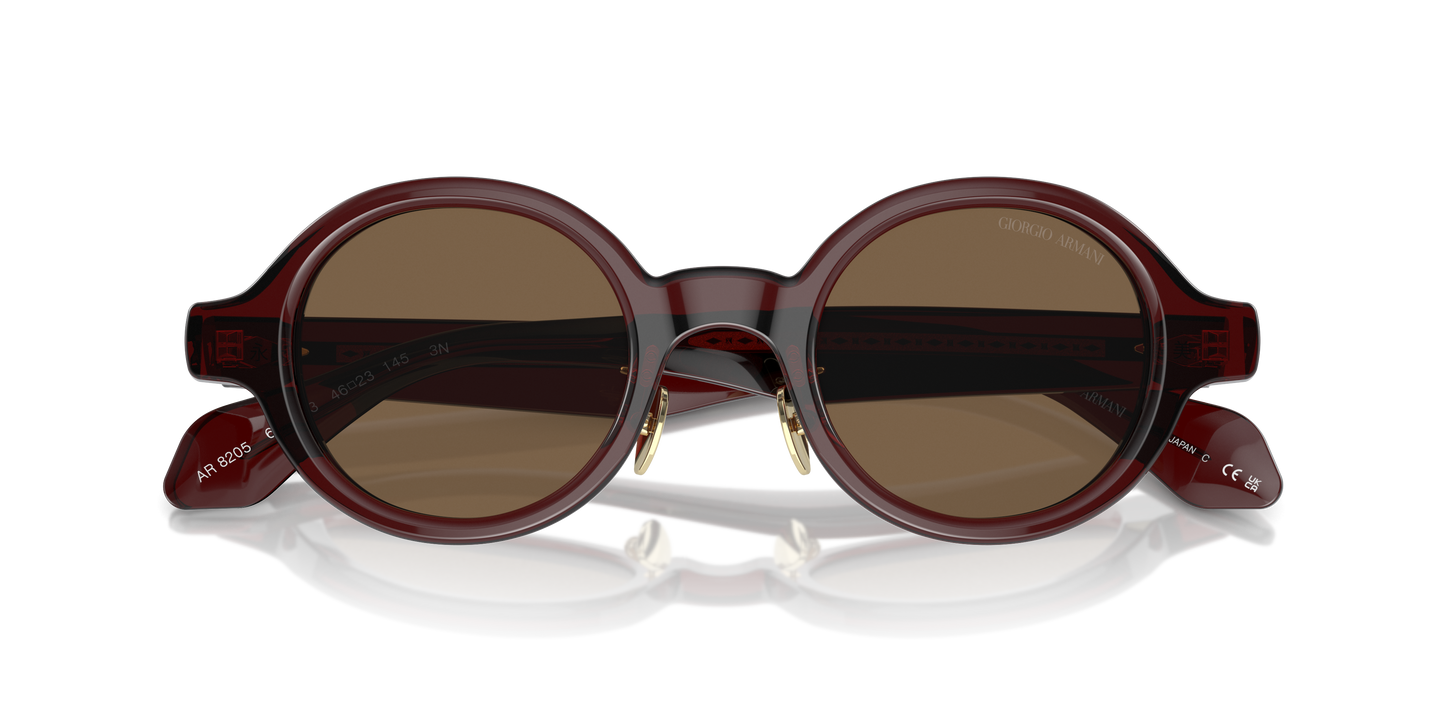 Giorgio Armani Sunglasses AR8205 606273