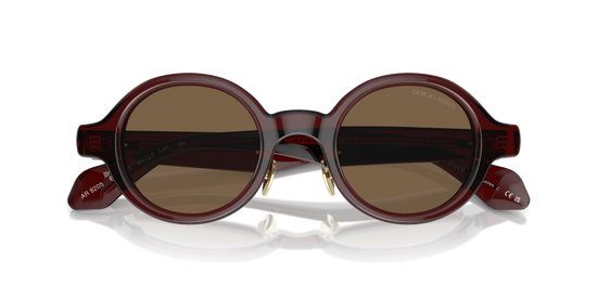 Giorgio Armani Sunglasses AR8205 606273