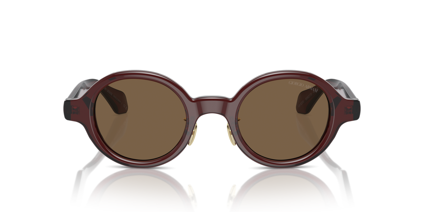 Giorgio Armani Sunglasses AR8205 606273