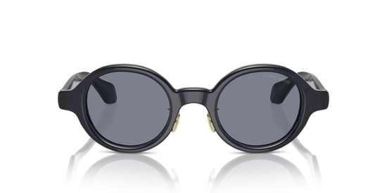 Giorgio Armani Sunglasses AR8205 606419