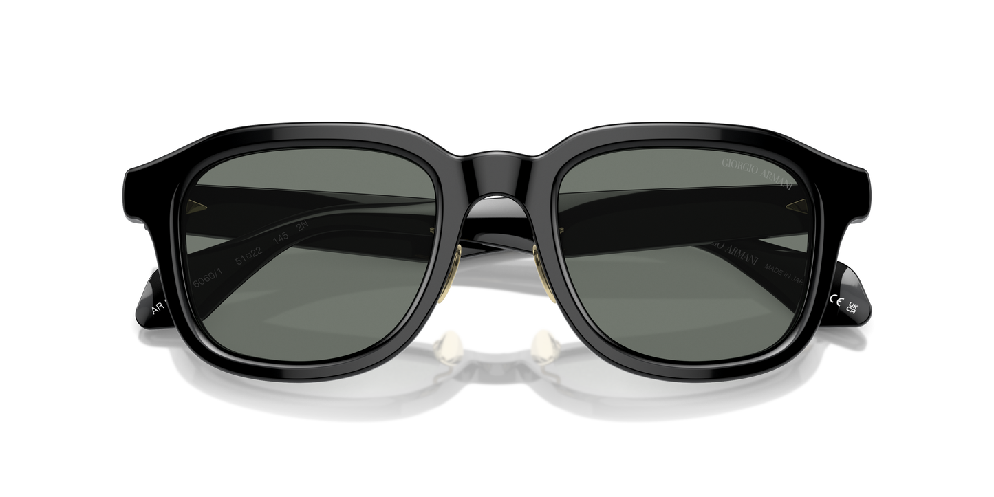 Giorgio Armani Sunglasses AR8206 6060/1