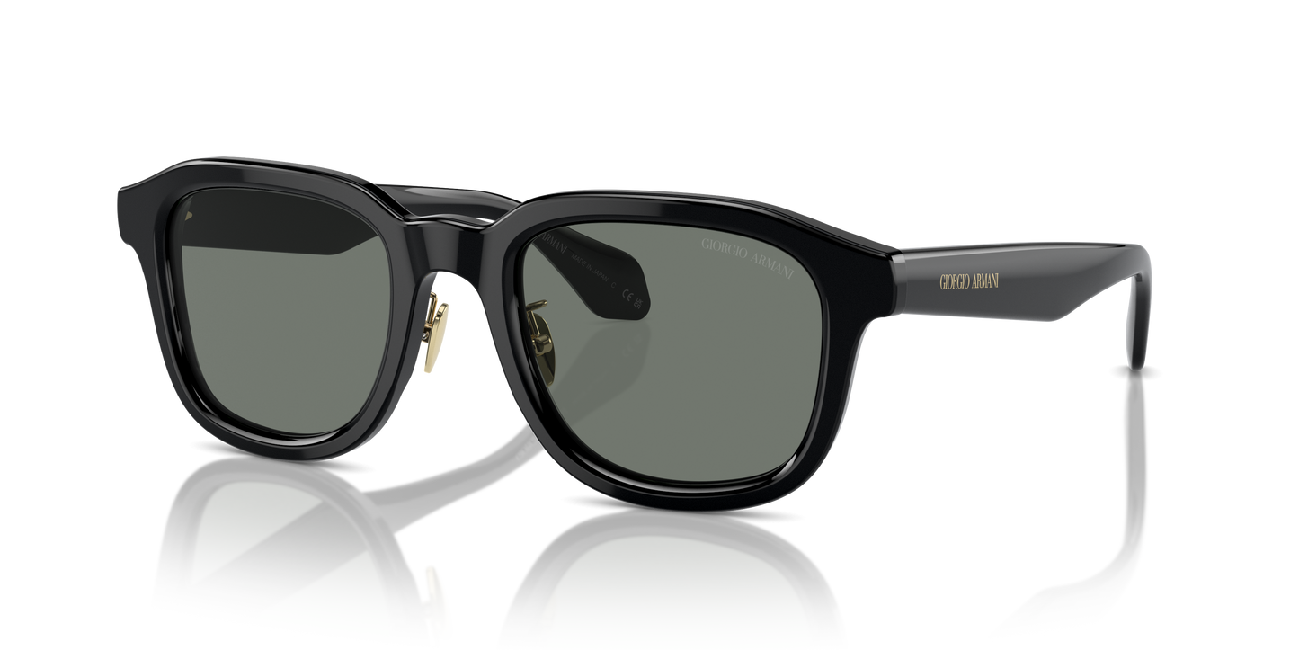 Giorgio Armani Sunglasses AR8206 6060/1