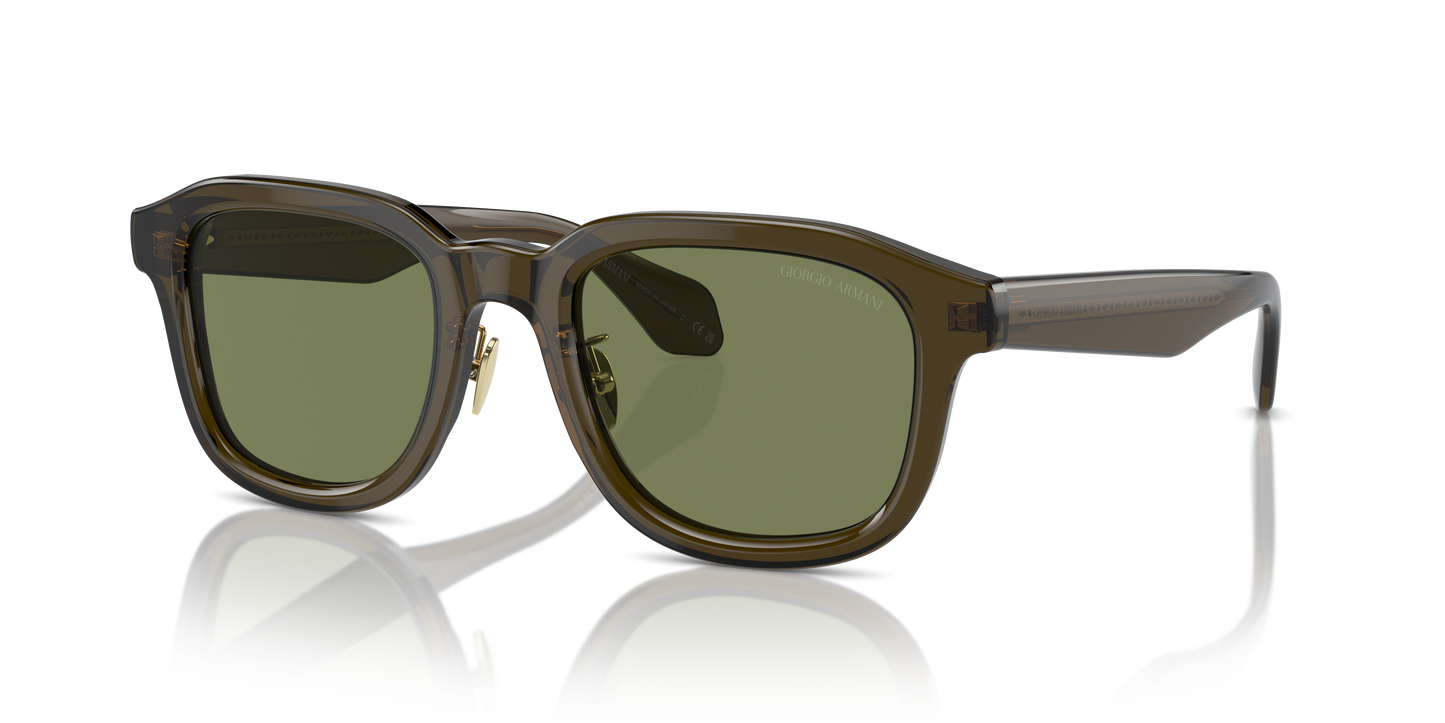 Giorgio Armani Sunglasses AR8206 60612A