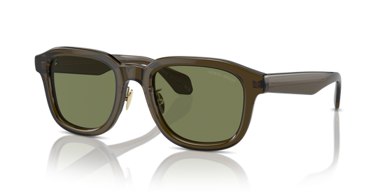 Giorgio Armani Sunglasses AR8206 60612A