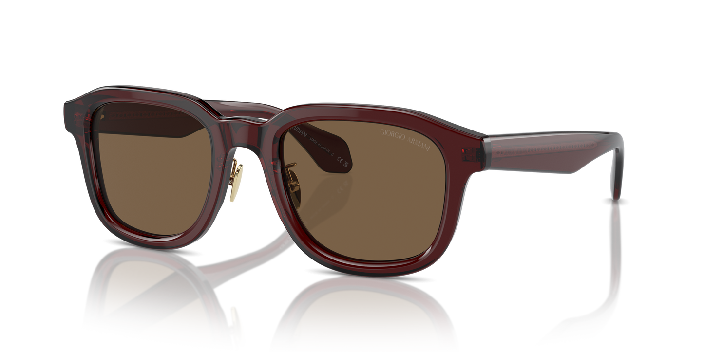 Giorgio Armani Sunglasses AR8206 606273