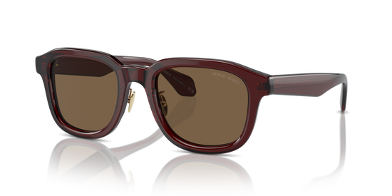 Giorgio Armani Sunglasses AR8206 606273