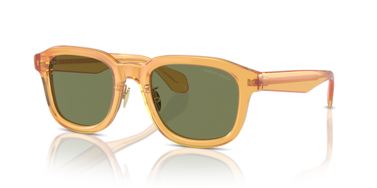 Giorgio Armani Sunglasses AR8206 60632A