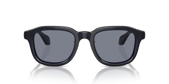 Giorgio Armani Sunglasses AR8206 606419