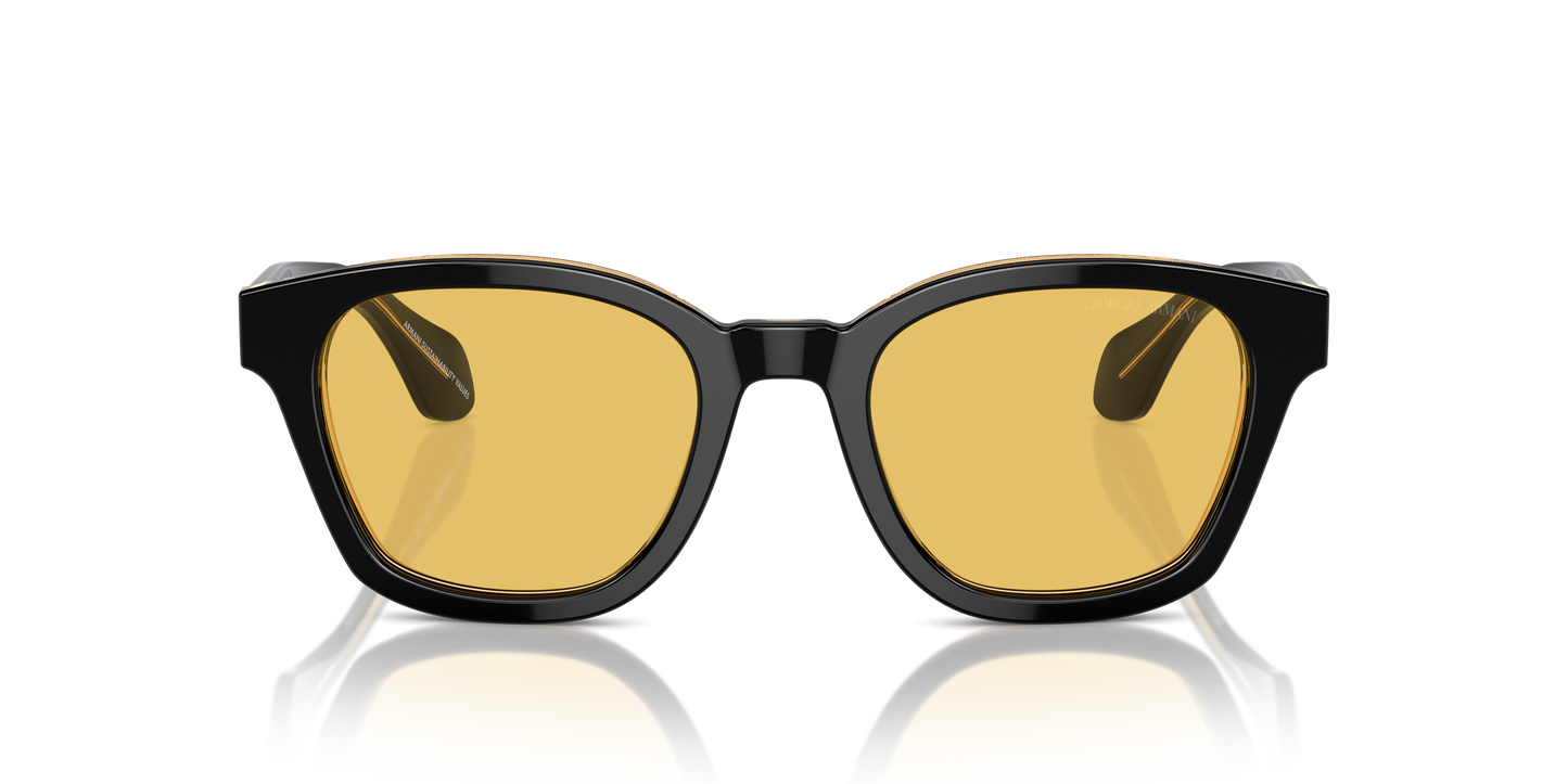 Giorgio Armani Sunglasses AR8207 608485