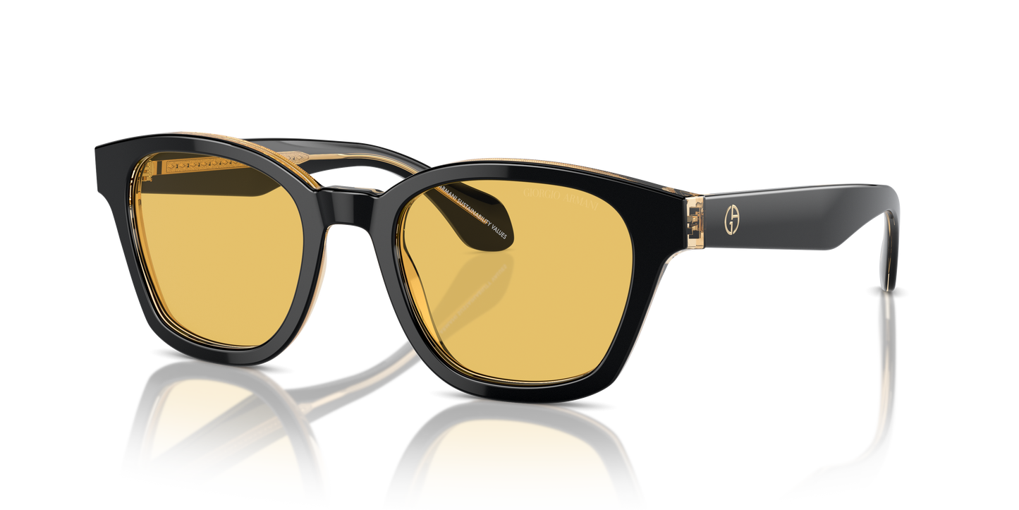 Giorgio Armani Sunglasses AR8207 608485