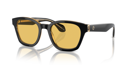 Giorgio Armani Sunglasses AR8207 608485