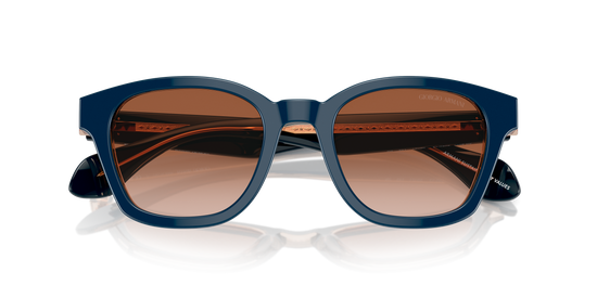 Giorgio Armani Sunglasses AR8207 608513