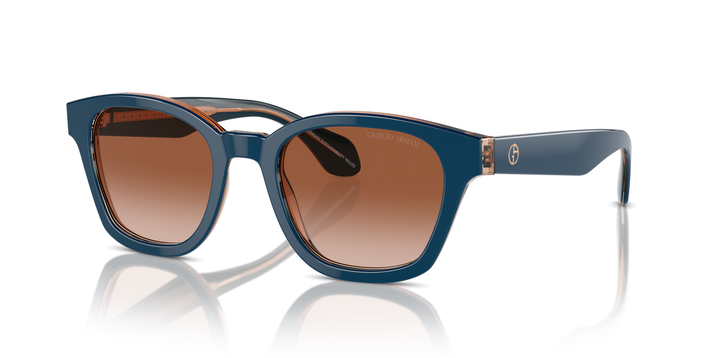 Giorgio Armani Sunglasses AR8207 608513