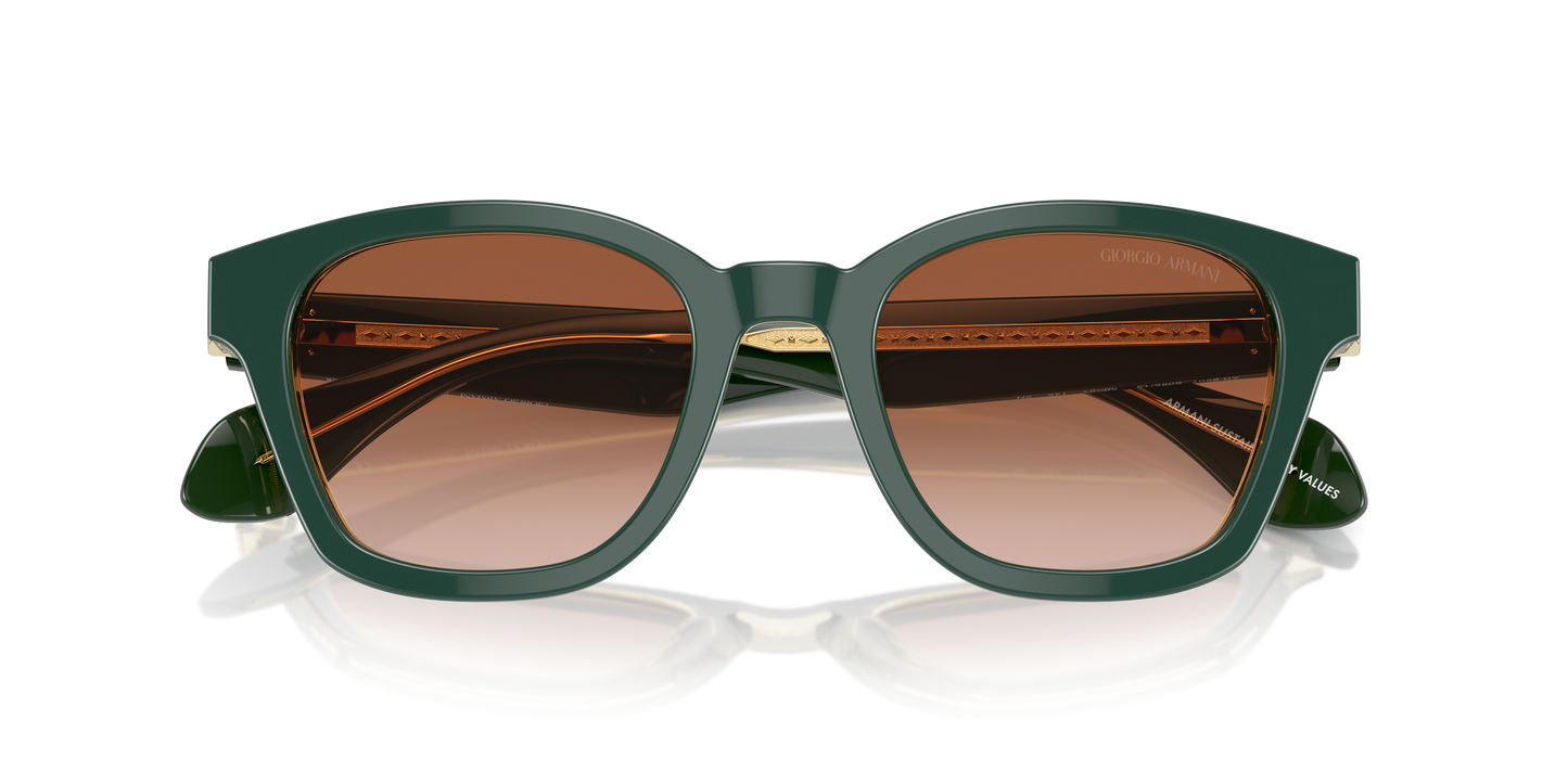 Giorgio Armani Sunglasses AR8207 608613