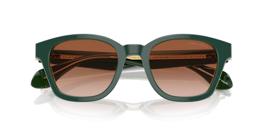 Giorgio Armani Sunglasses AR8207 608613