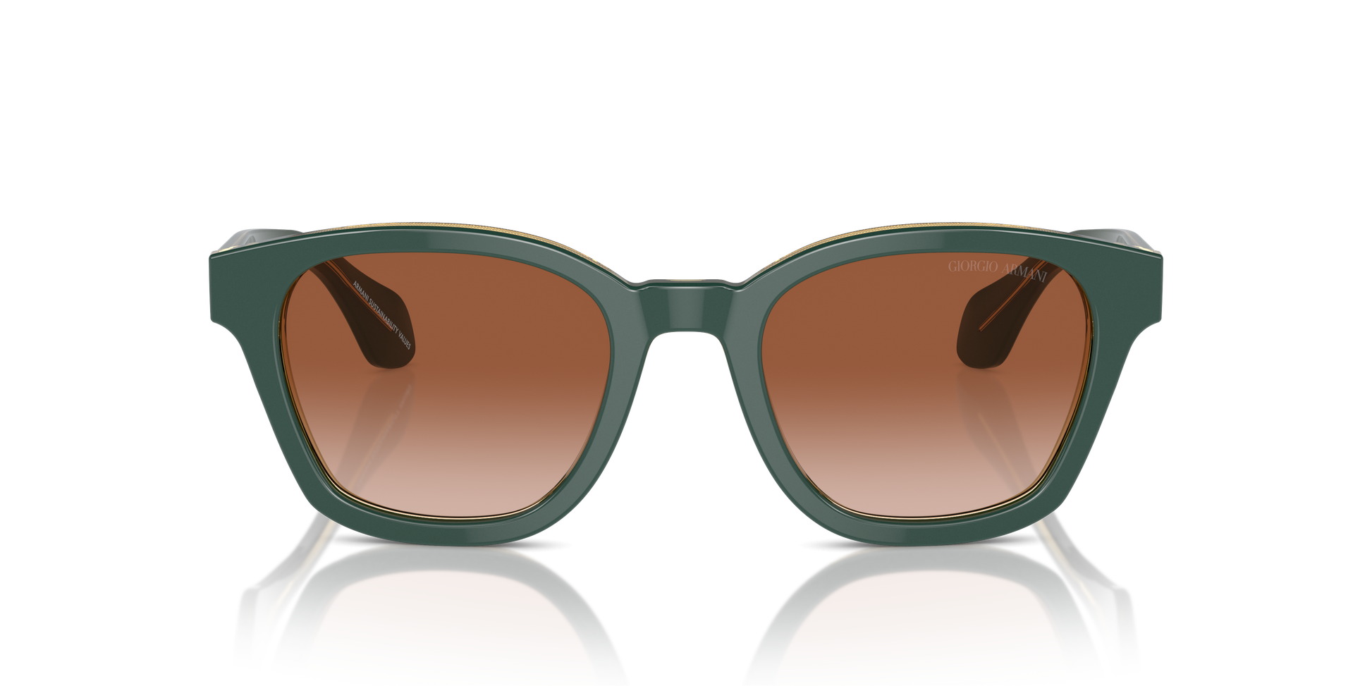 Giorgio Armani Sunglasses AR8207 608613