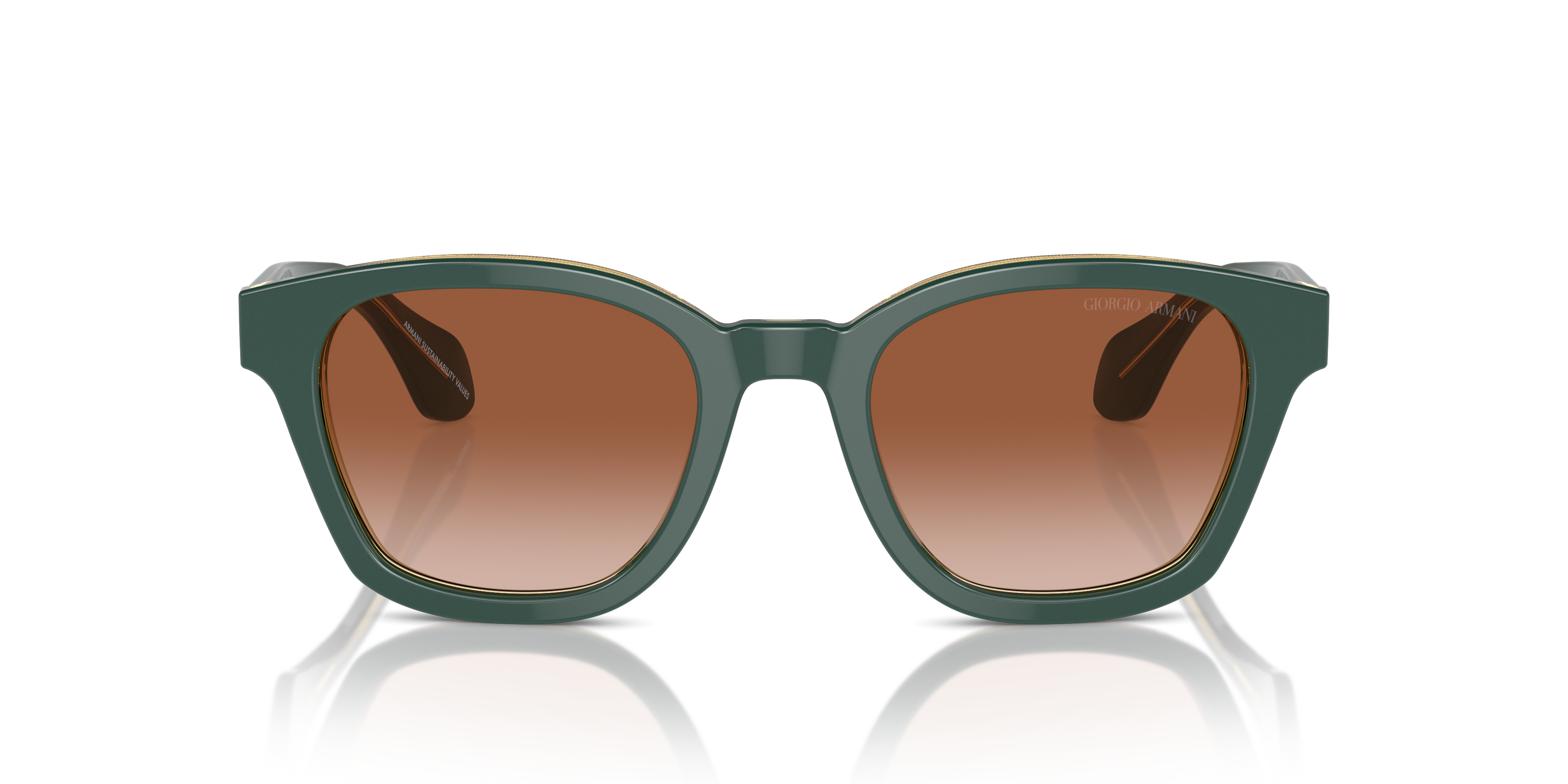 Giorgio Armani Sunglasses AR8207 608613