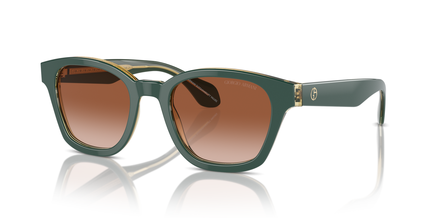 Giorgio Armani Sunglasses AR8207 608613