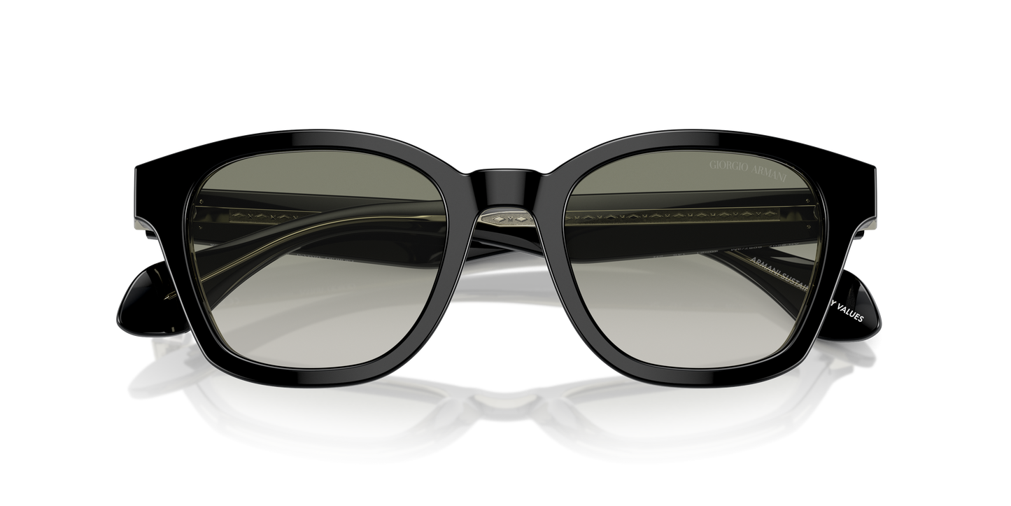 Giorgio Armani Sunglasses AR8207 60873M