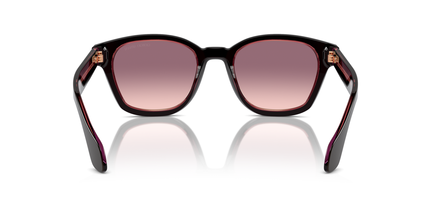 Giorgio Armani Sunglasses AR8207 60888D