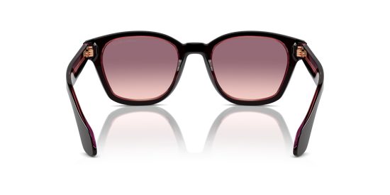 Giorgio Armani Sunglasses AR8207 60888D