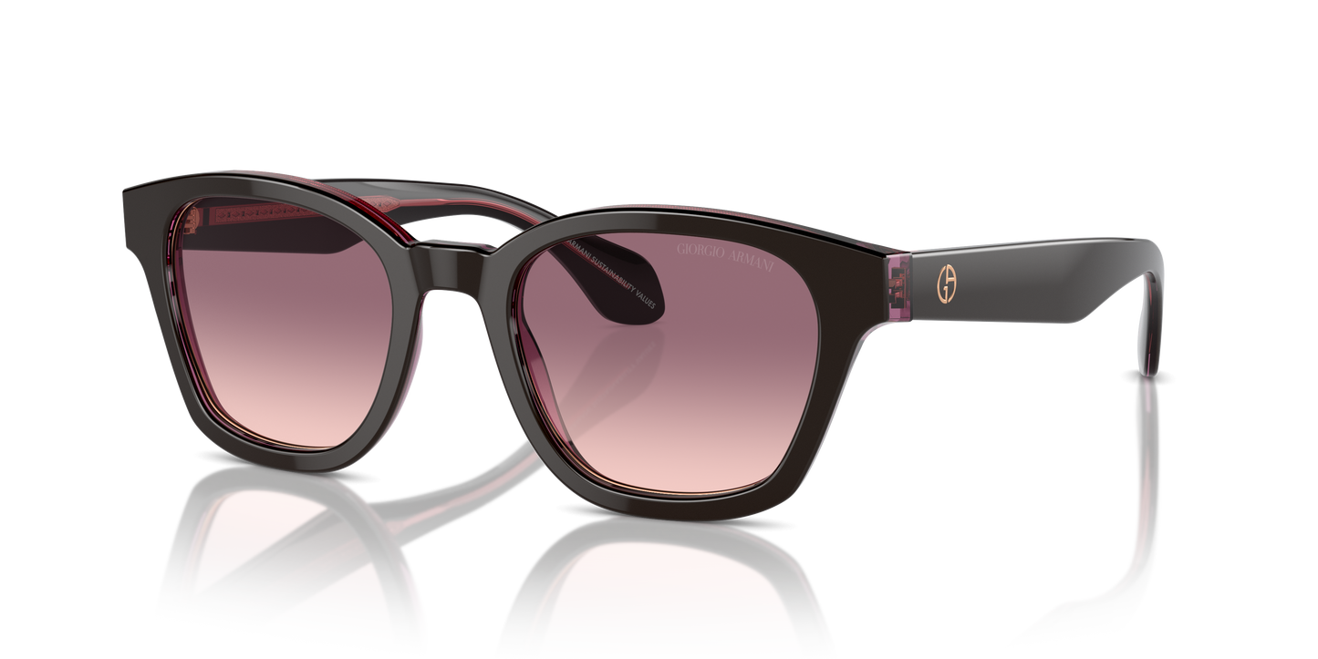 Giorgio Armani Sunglasses AR8207 60888D