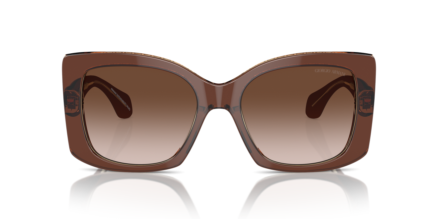 Giorgio Armani Sunglasses AR8208U 609013