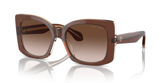 Giorgio Armani Sunglasses AR8208U 609013