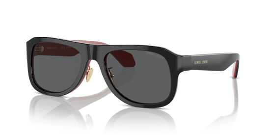 Giorgio Armani Sunglasses AR8209 6069B1