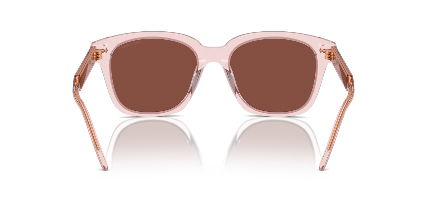 Giorgio Armani Sunglasses AR8210U 6073C5