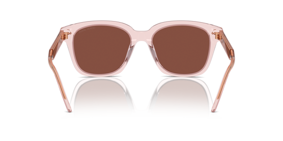 Giorgio Armani Sunglasses AR8210U 6073C5