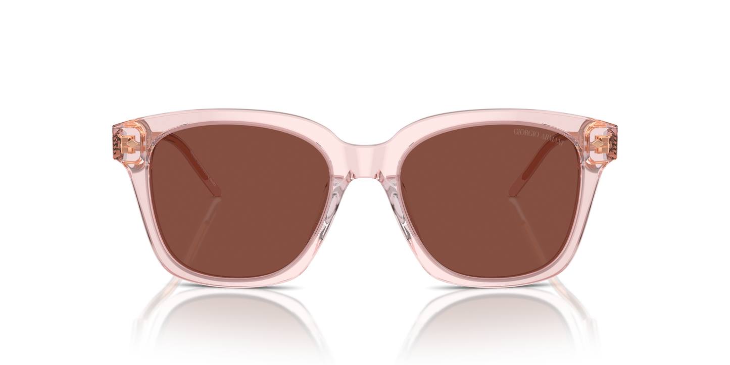 Giorgio Armani Sunglasses AR8210U 6073C5