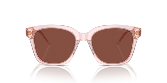 Giorgio Armani Sunglasses AR8210U 6073C5