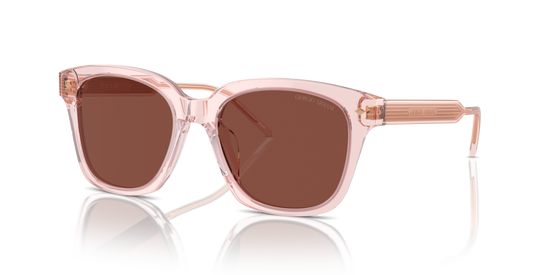 Giorgio Armani Sunglasses AR8210U 6073C5