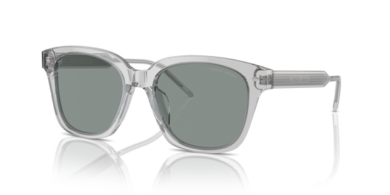 Giorgio Armani Sunglasses AR8210U 608056