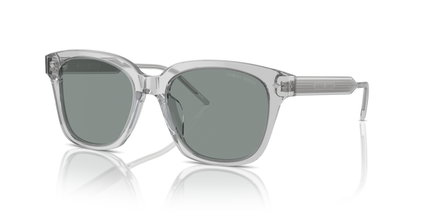 Giorgio Armani AR8210U 608056