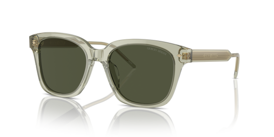 Giorgio Armani Sunglasses AR8210U 608331