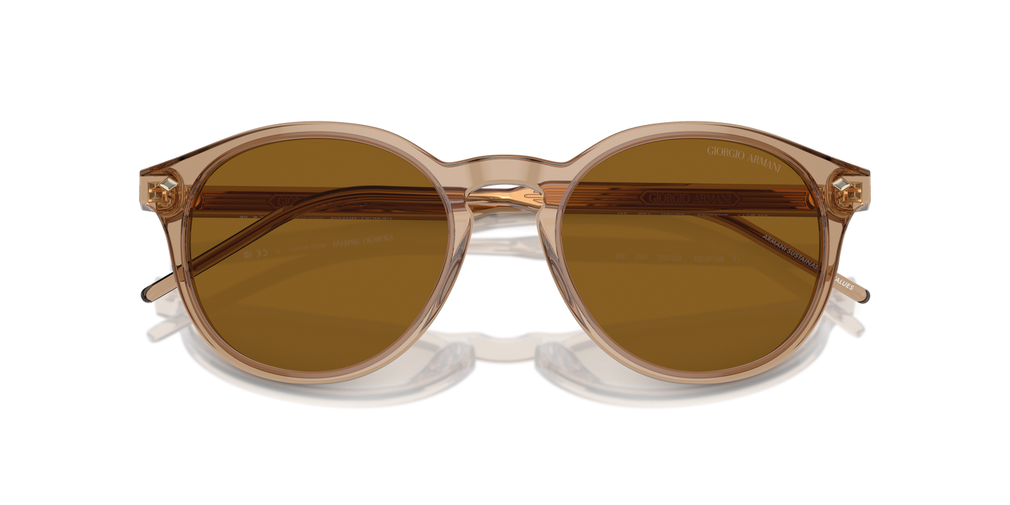 Giorgio Armani Sunglasses AR8211 607233