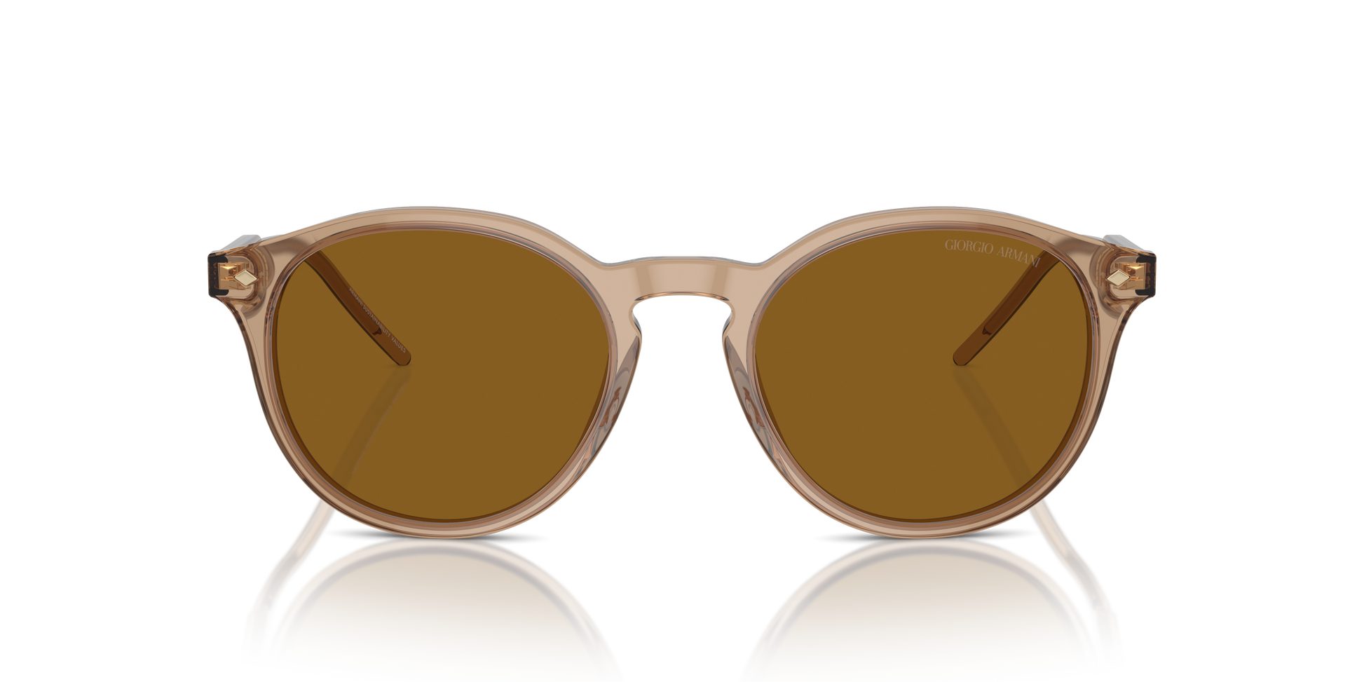 Giorgio Armani Sunglasses AR8211 607233