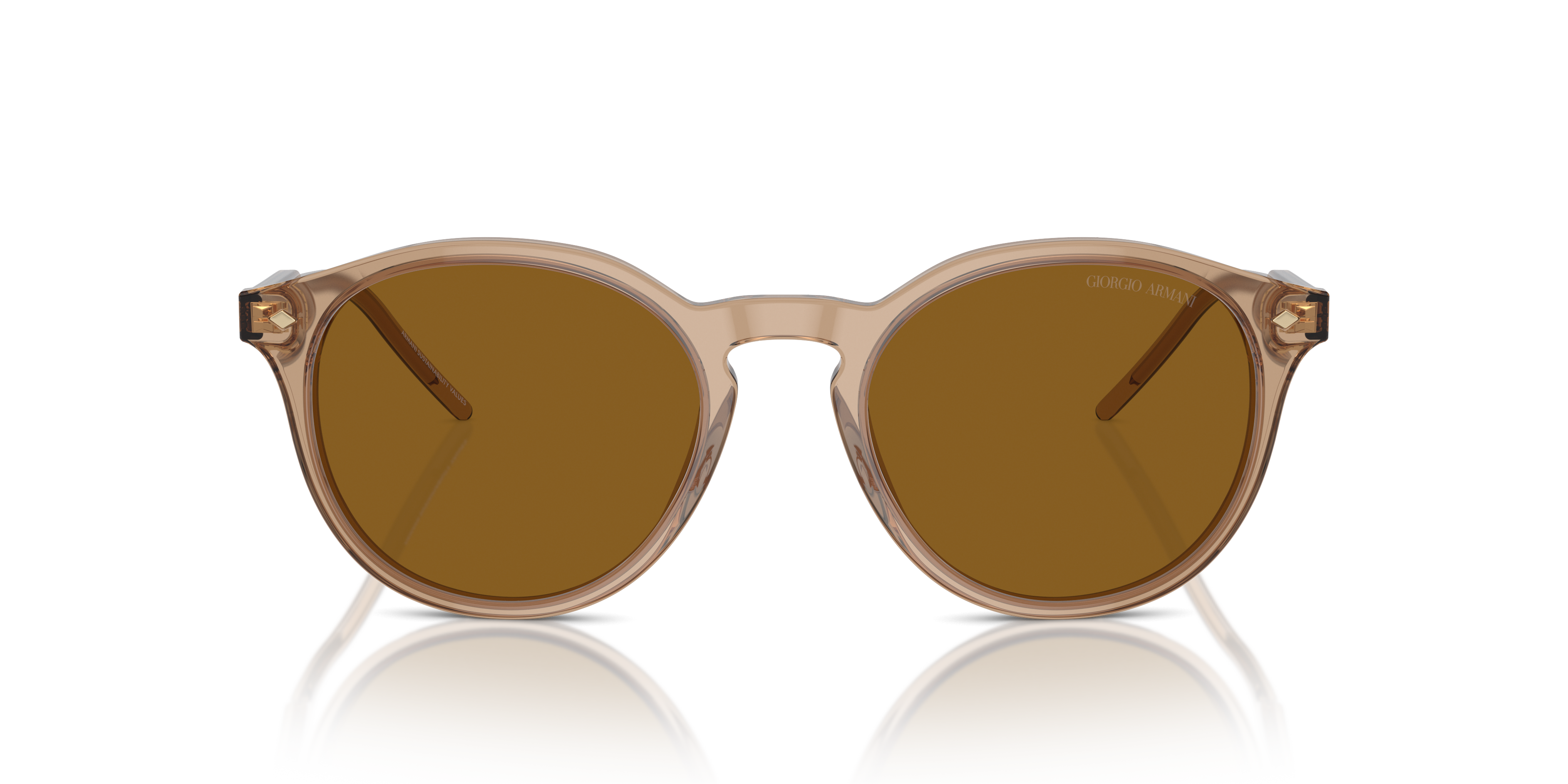 Giorgio Armani Sunglasses AR8211 607233