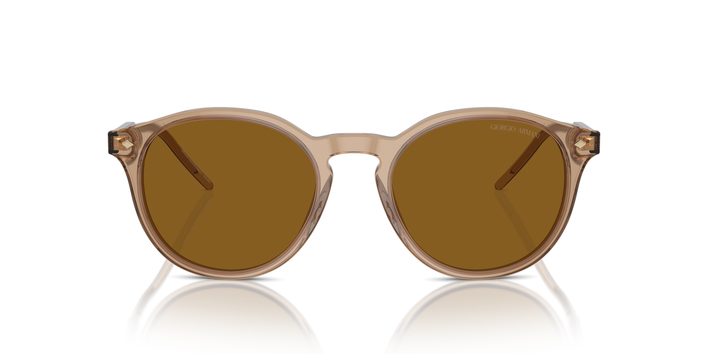 Giorgio Armani Sunglasses AR8211 607233