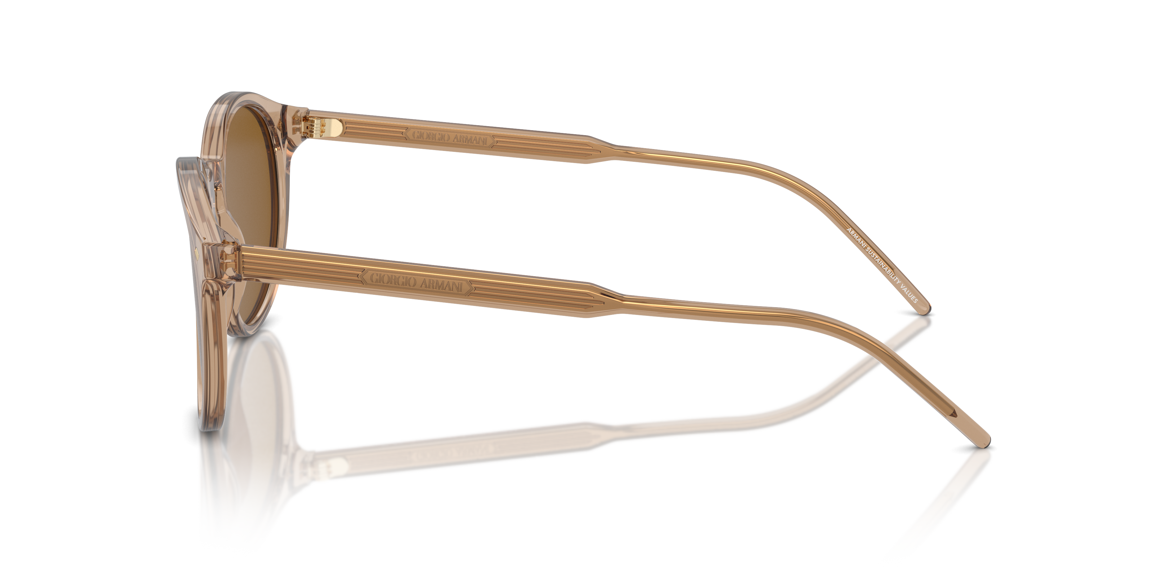 Giorgio Armani Sunglasses AR8211 607233