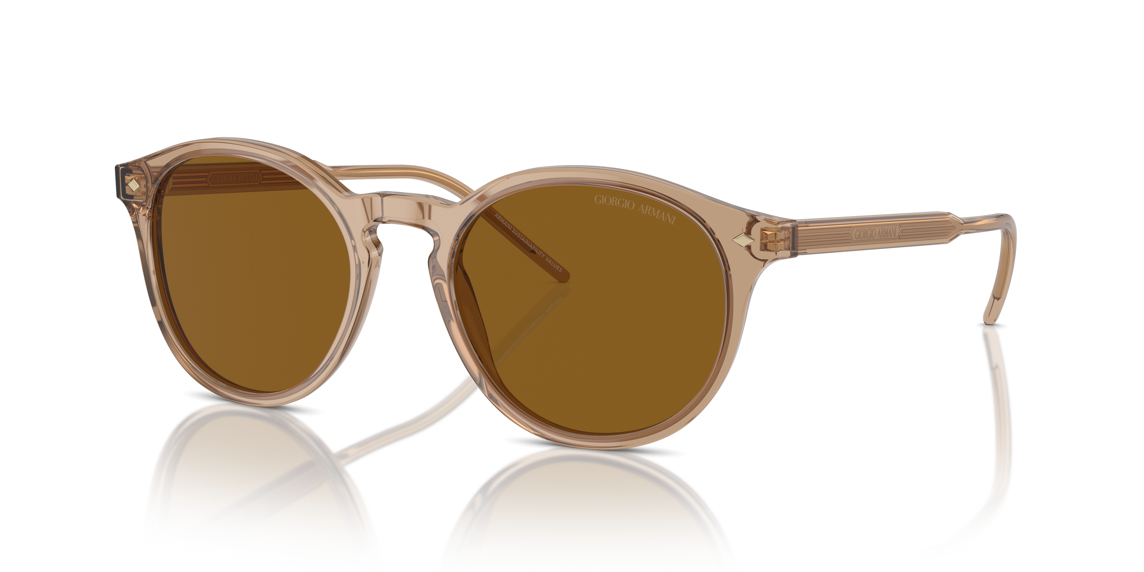 Giorgio Armani Sunglasses AR8211 607233