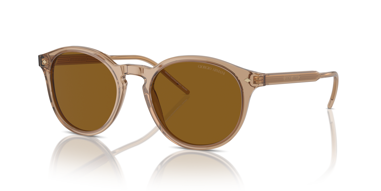 Giorgio Armani Sunglasses AR8211 607233