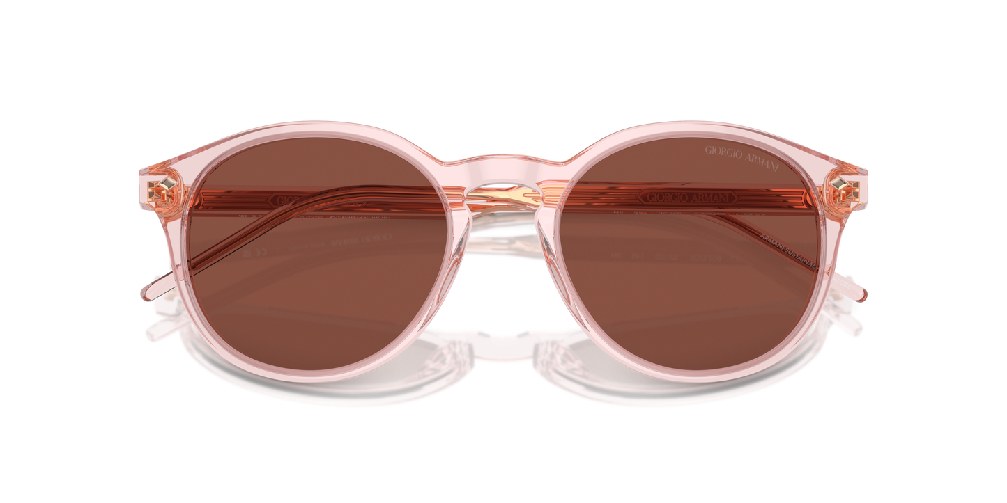 Giorgio Armani Sunglasses AR8211 6073C5