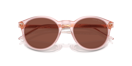 Giorgio Armani Sunglasses AR8211 6073C5