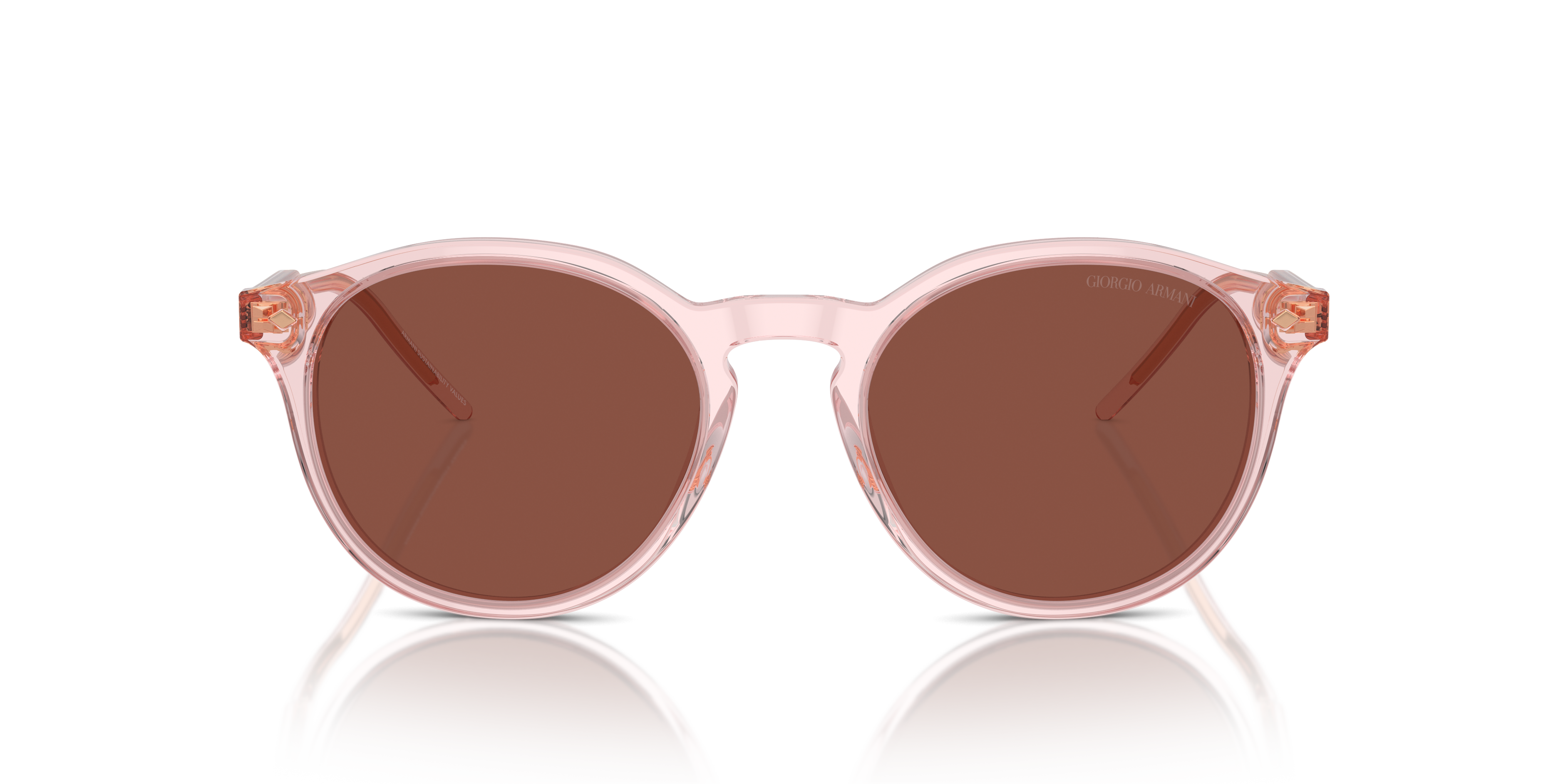 Giorgio Armani Sunglasses AR8211 6073C5
